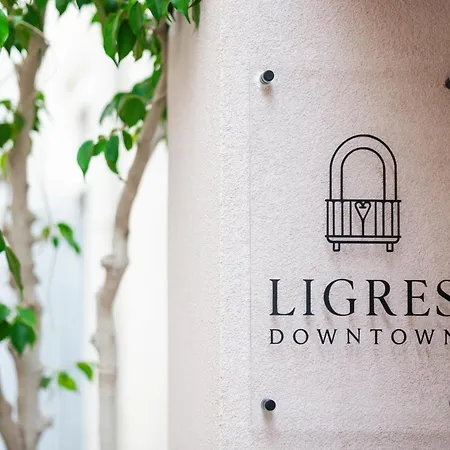Ligres Down Town Apartment *